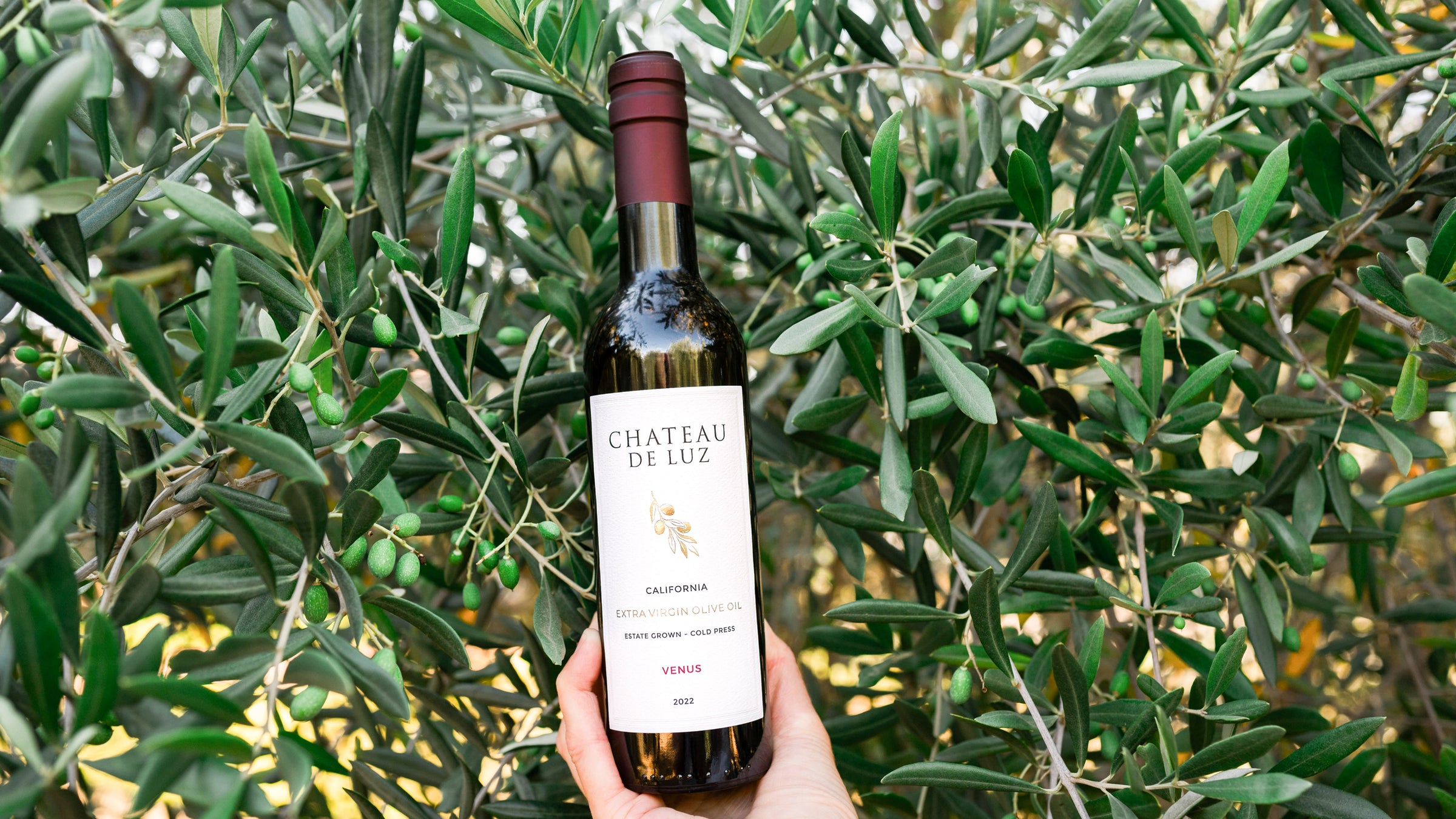 Chateau de Luz - Award Winning Extra Virgin Olive Oil